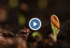 Облачността в последния ден на седмицата ще остане значителна Около и