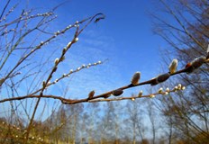 Почивните дни ще започнат със слънчево и топло време в