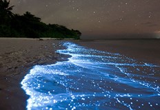 Съществуват множество феномени в природата които предизвикват интереса ни Ето някои