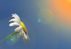 Последният ден на седмицата ще е облачен с разкъсвания на