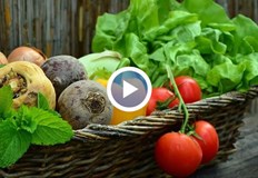 Заради високата себестойност на производство земеделски стопани в Русенско трудно продават стоката