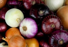 Лукът е най консумираният от хората зеленчук Той може да се използва