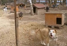 След затишие във времето на пандемията отново се повишава интересът