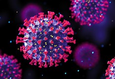 Те заявиха че шансовете да загинат при злополука или катастрофа са много