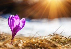 Утре облачността ще се увеличава и след обяд над повечето