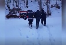 След 7 часова акция пожарникари и спешни медици успяха да свалят