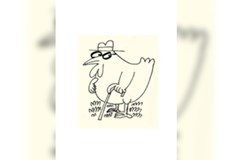 СТРАДАНИЯТА НА СТАРИЯ БРОЙЛЕРЕдин бройлер не знам как можа мен истина