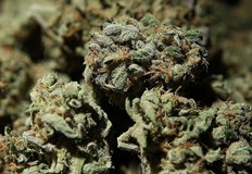 Притежание на наркотици разследват служители от РУ Две могили Вчера при