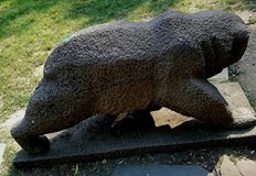 Да почистим Алпинеума до Мечката в Парка на Младежта призовават