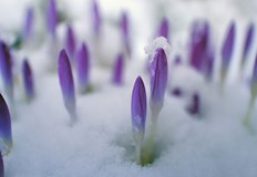 Причината е Средиземноморски циклонСтуденият фронт днес на обед вече трябва