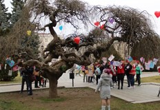 Русенци опитаха от вкусните Меденки за Анди изработени за животоспасяващата кампания за