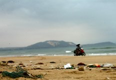 Екоскандал във ФранцияРиболовен кораб изхвърли тонове мъртва риба в Бискайския