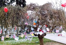 Над 100 собственоръчно направени валентинки по повод празника на Свети