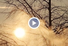 Последният ден от седмицата ще е слънчев с минимална облачност