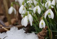 Месец февруари очаквано ни посрещна с ниски температури и сняг