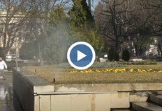 Необичайно топлото време през февруари продължава От хидрометерологичната станция на ИАППД