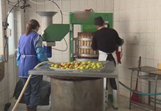 Скъпият ток рефлектира и върху земеделието и очаквано вдига цената