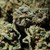 Иззеха марихуана от имота на мъж в Сваленик