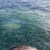 Нашествие от отровни медузи по южните брегове на Турция