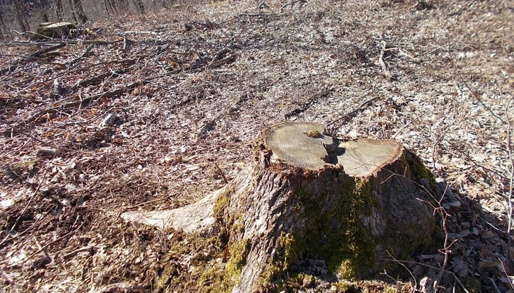 "Продължаваме промяната" върви в коловоза на прогнилите от корупция мафиотизирани правителства "Продължаваме промяната" върви в коловоза на прогнилите от корупция мафиотизирани правителства