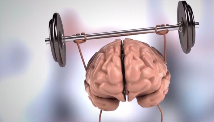 Добавките със селен могат да бъдат полезни за мозъците на възрастните хора, особено тези с неврологични заболявания Добавките със селен могат да бъдат полезни за мозъците на възрастните хора, особено тези с неврологични заболявания