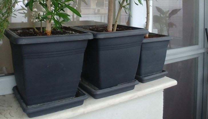 Може да освободите място вкъщи