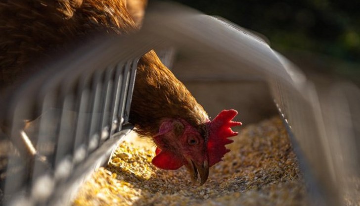 Плащането е трябвало да стане до 31 юли 2021 г., но парите са получени чак на 18 октомври 2021 г. Плащането е трябвало да стане до 31 юли 2021 г., но парите са получени чак на 18 октомври 2021 г.