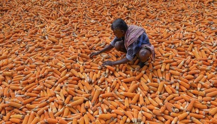 Неоникотиноидите са сред най-опасните пестициди, разработени от химическите концерни Неоникотиноидите са сред най-опасните пестициди, разработени от химическите концерни