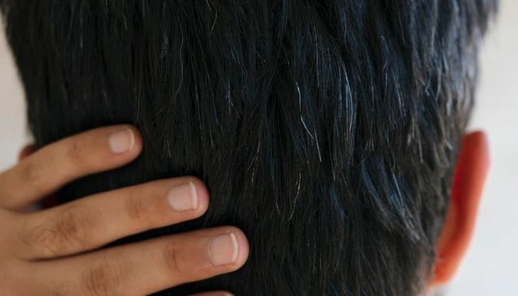 Изследване на учени от Медицински център на Колумбийския университет