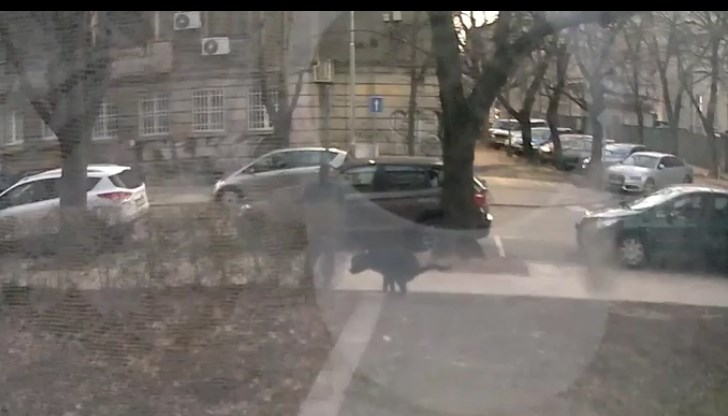 Този проблем може да бъде решен по няколко начина, категоричен е Симеон Момчилов