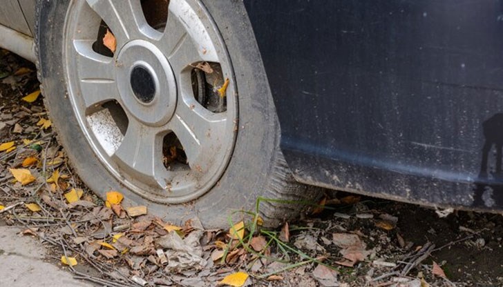 Общината издаде предписания на собствениците им