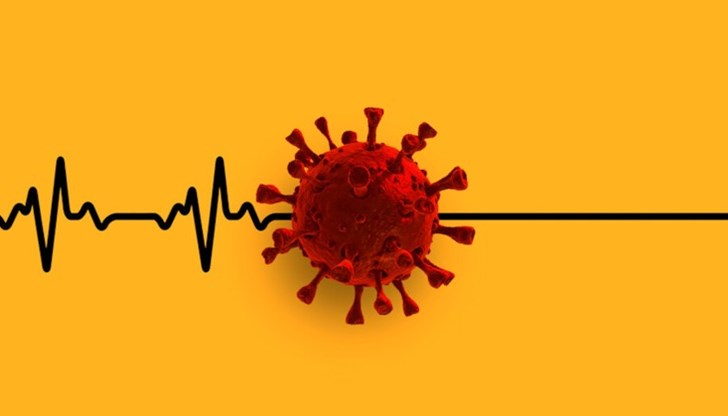 Световната здравна организация нарече този брой "повече от трагичен"