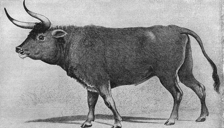 Находката е изкопана от 5,37 м. дълбочина