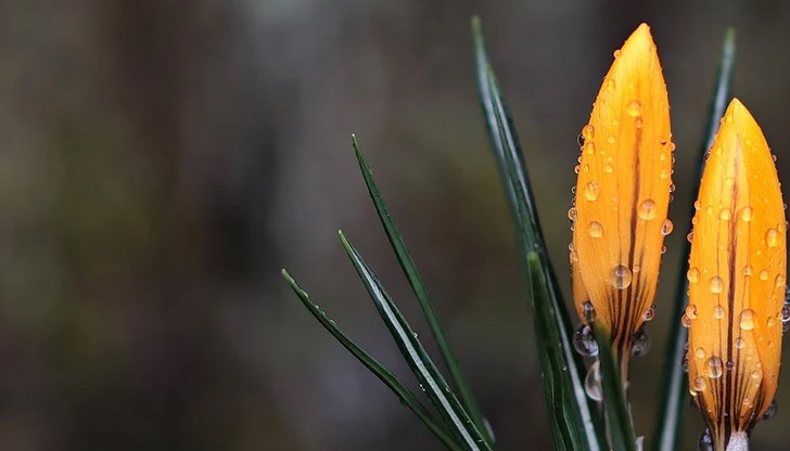 Максималните температури ще са между 6° и 11° в понеделник Максималните температури ще са между 6° и 11° в понеделник