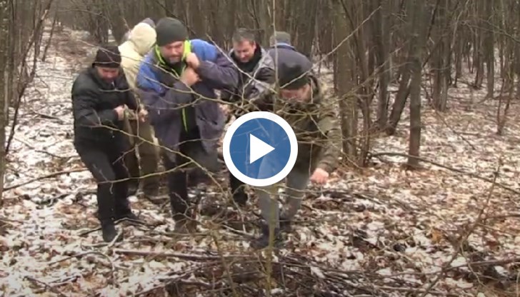 Училищният автобус е возил осем деца от 1 до 7 клас от Просена към Николово, когато малко преди отбивката за свинекомплекса от лявата му страна го връхлита елен