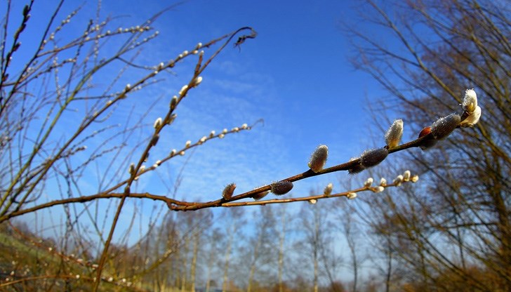 С падането на температурите ще превали и сняг С падането на температурите ще превали и сняг