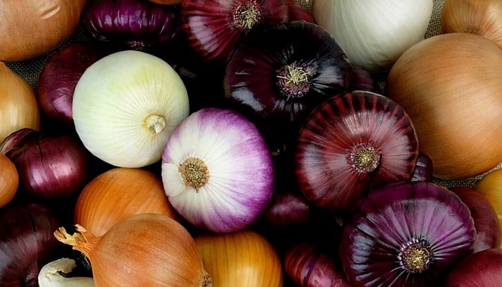 Най-консумираният от хората зеленчук съдържа в себе си много витамини и минерали Най-консумираният от хората зеленчук съдържа в себе си много витамини и минерали