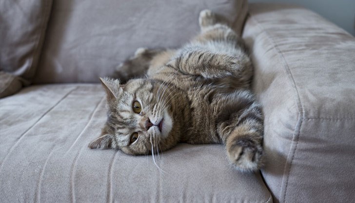 Стъпки, препоръчани от експерти