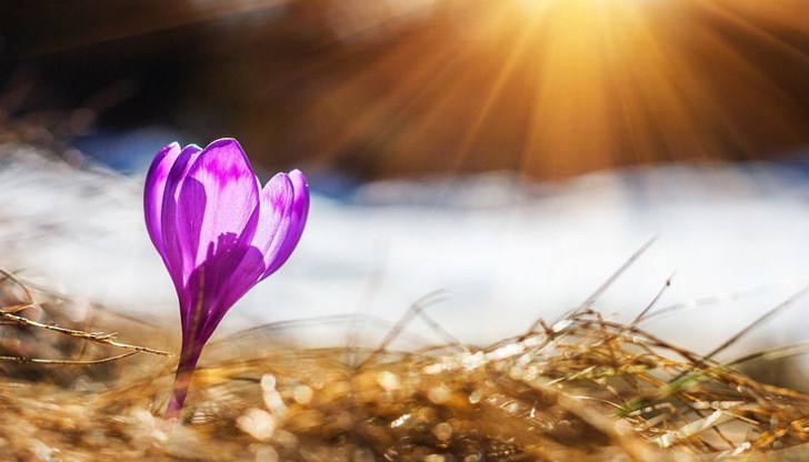 Дневните температури ще се понижат и преобладаващите максимални ще са между 9° и 14° Дневните температури ще се понижат и преобладаващите максимални ще са между 9° и 14°