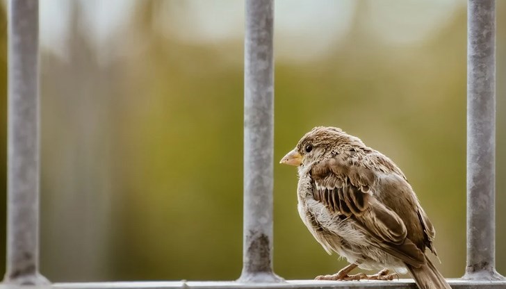 Не се очакват валежи