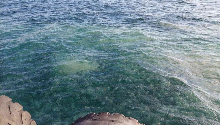 Това се е случило поради силните ветрове, които привличат теченията