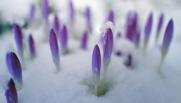 След това влизаме в март с динамика и сравнително топло време, отбеляза климатологът След това влизаме в март с динамика и сравнително топло време, отбеляза климатологът