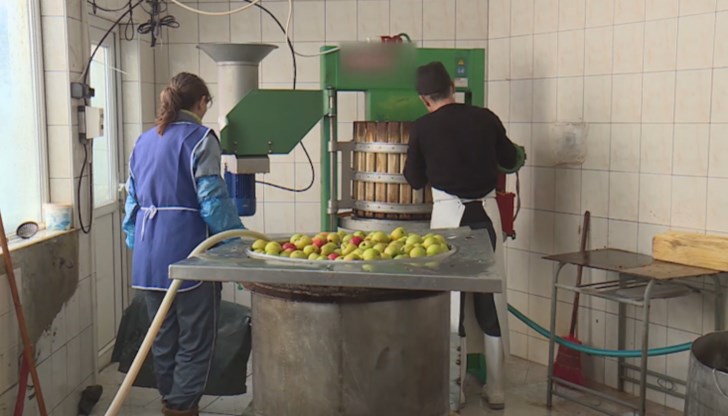 Себестойността на плодовете ще скочи с близо 40 на сто, обяснява Николай Колев Себестойността на плодовете ще скочи с близо 40 на сто, обяснява Николай Колев