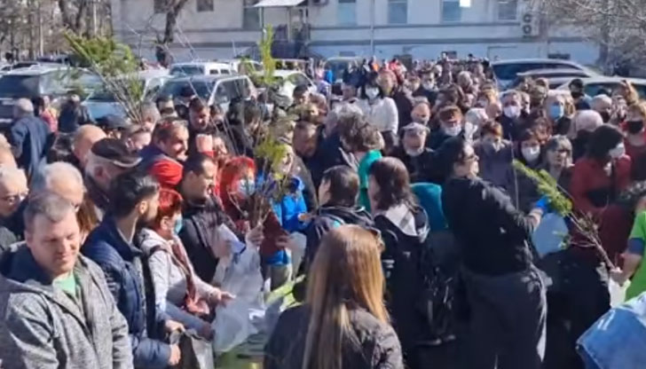 При небивал интерес премина акцията на Гората БГ в Русе.