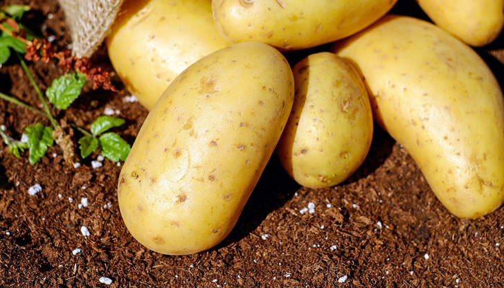 В самоковското село Алино производители са се събрали да изразят