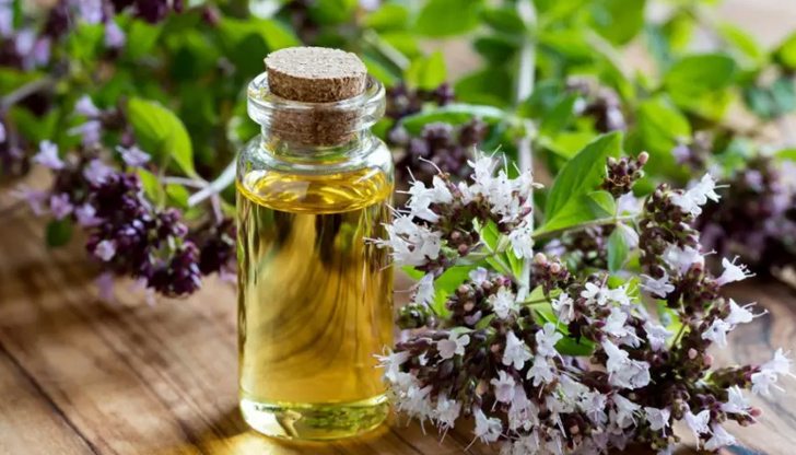 Изброените по-долу целебни билки могат да ви помогнат да излекувате