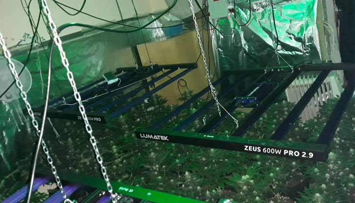 Задържан е 50-годишен криминално проявен и осъждан мъжРазбиха оранжерия за