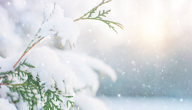 Март ще започне с истинско зимно време&bdquo;Най-много валежи за последното