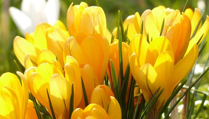 Атмосферното налягане ще продължи да се понижава и ще се