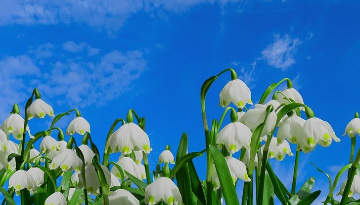 През нощта ще бъде ясно със слаб вятър от юг